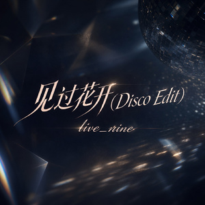 见过花开(Disco Edit)
