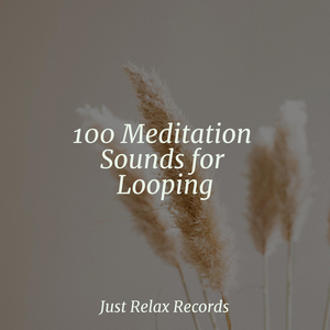 Solemn Echoes of Solitude