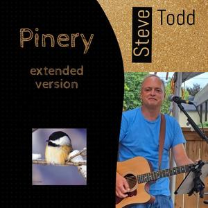 Pinery (extended version)