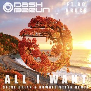 All I Want (Steve Brian & Rowald Steyn Remix)