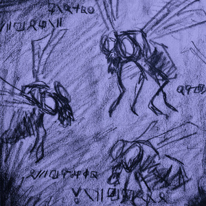 Volvox