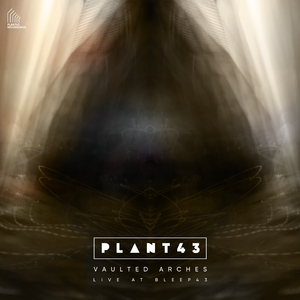 Vaulted Arches - Live at Bleep43 (Live)