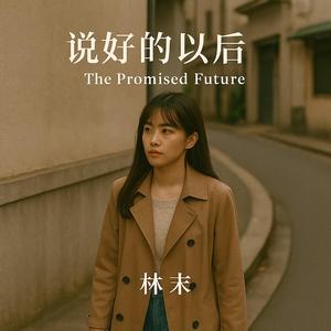 说好的以后