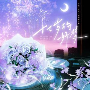 十七岁的好梦——木苏里《某某》原创同人曲