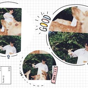 没有人心疼我（男声版本）