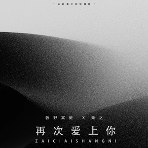 再次爱上你