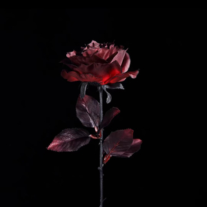 负重一万斤长大