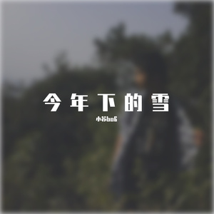 今年下的雪