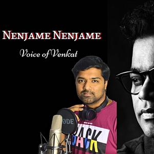 Nenjame Nenjame | Maamannan (Cover)