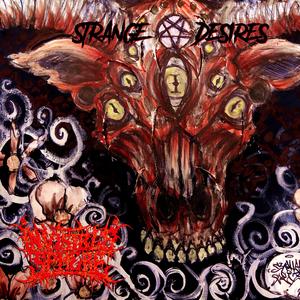 Into The Singularity