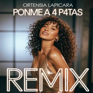 Ponme a 4 patas (Remix)