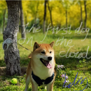 The First Dog On the Cloud(未混音版）