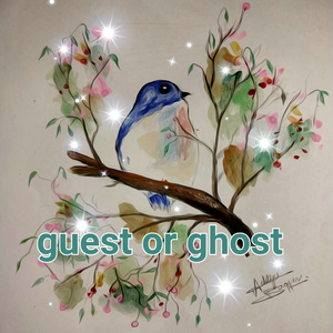 Guest or ghost, Pt. 1 (a)