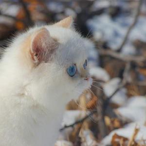 IMG_2022-03-30_17:02:42_0