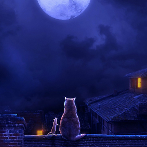 my bro(prod by Little End)