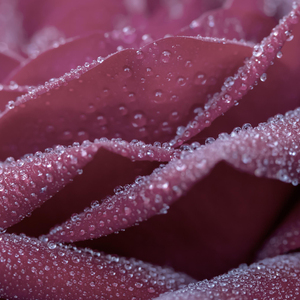 平心静气 (优美轻音乐)