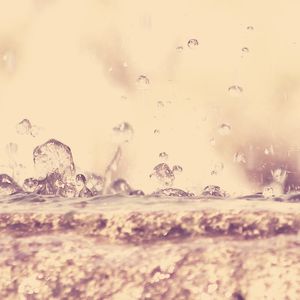 一尘不染重点印象数