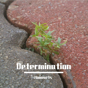 Determination
