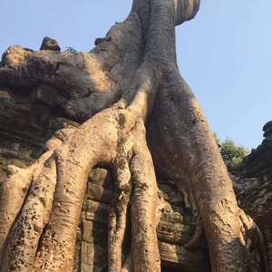 浪漫埋葬在寂静的海底