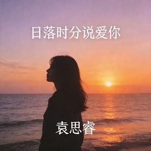 日落时分说爱你