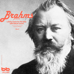 Brahms: Violin Sonata No.3 In D Minor Op.108 - IV. Presto Agitato (With Forest Sound)