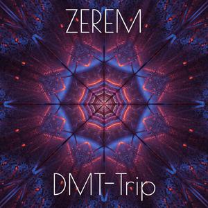 DMT Trip