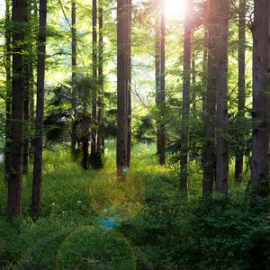 第三方孙收到VR的