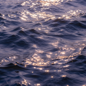 差一点抓到月亮