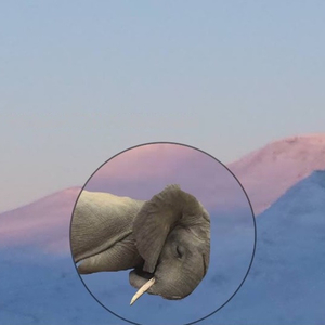 You are a house alive