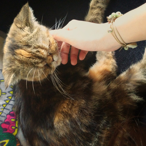 我要你（Cover 任素汐）