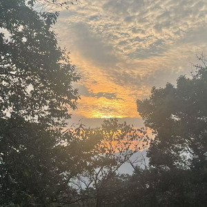 雨滴与风的思念