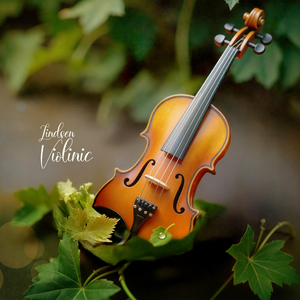 Restarting the Quiet Mind