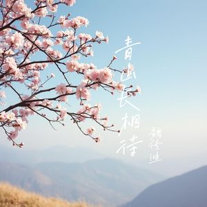 青山长相待