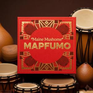 Vhadzimu (feat. Mca)