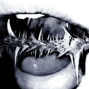 降维拍子（prod.Raymone）