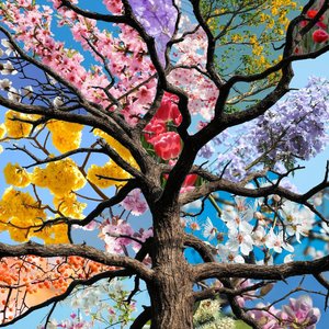 你是我藏在日记本里的季节