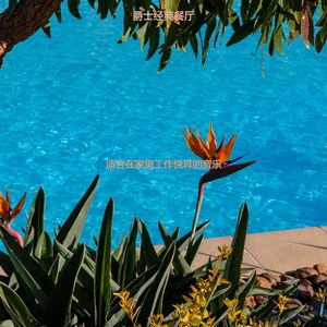 适合在家里工作悦耳的音乐