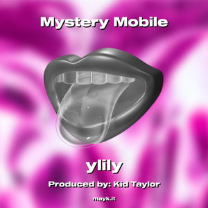 Mystery Mobile