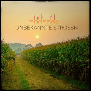 Unbekannte Strossn