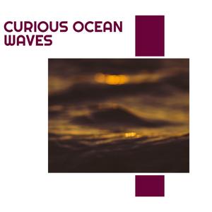 Chirps & The Ocean Shore