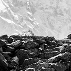 Who's Got the Action