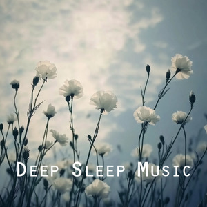 Alpha Aura: Sleep Enhanced