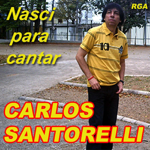 Andorinha Solitária