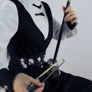 「二胡」天行九歌（Cover 霍尊）