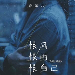恨风恨雨恨自己 (DJ默涵版伴奏)