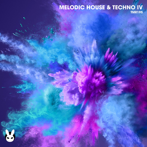 Baccy Hole (Radio Edit)