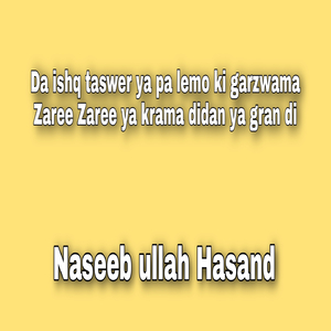 Da ishq taswer ya pa lemo ki garzwama Zaree Zaree ya krama didan ya gran di