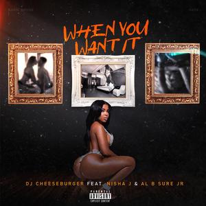 When You Want It (feat. Al B Sure Jr.)