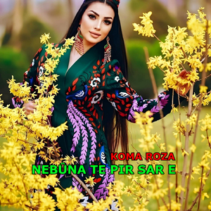 Bi Reş Hatiye Nivîsandin