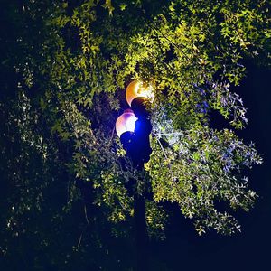 我不是一个天才